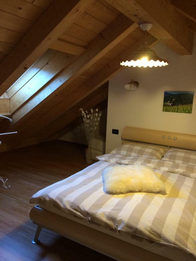 Appartamentino Frundsberg วิปิเตโน ภายนอก รูปภาพ